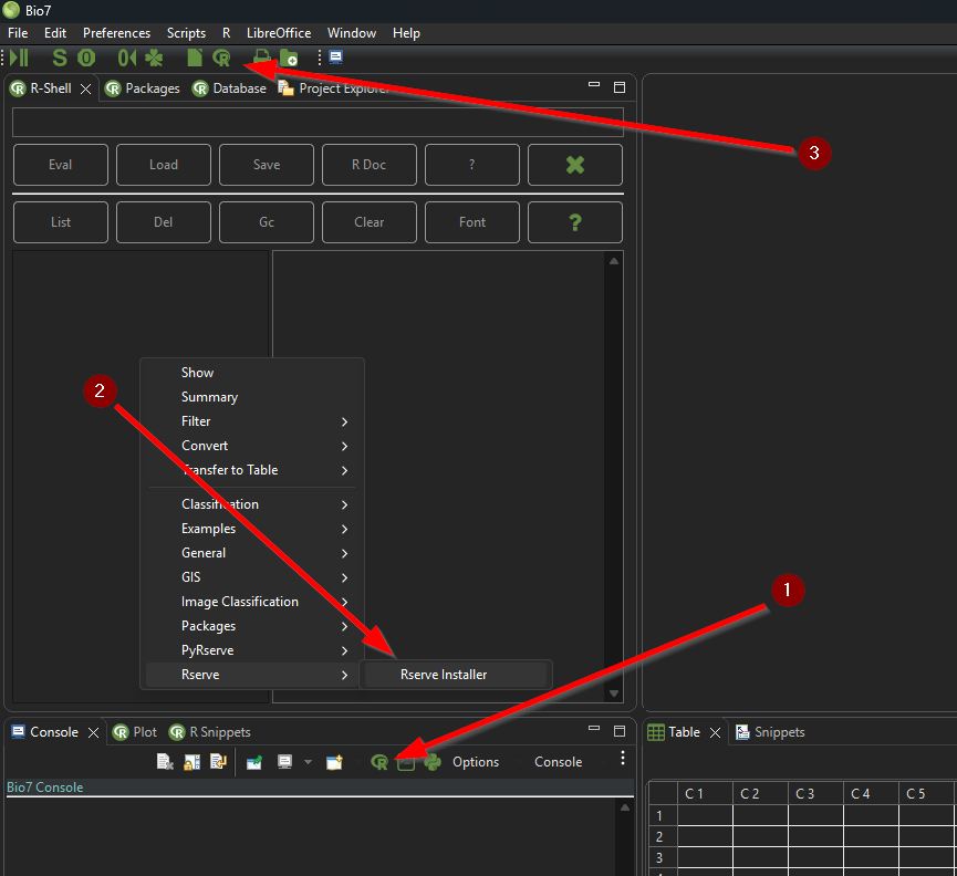 figure images/chapter2/InstallRserve.jpg